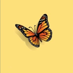 Meet your Posher, Dayana